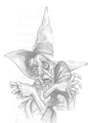 Nanny Ogg's Cookbook-41.jpg